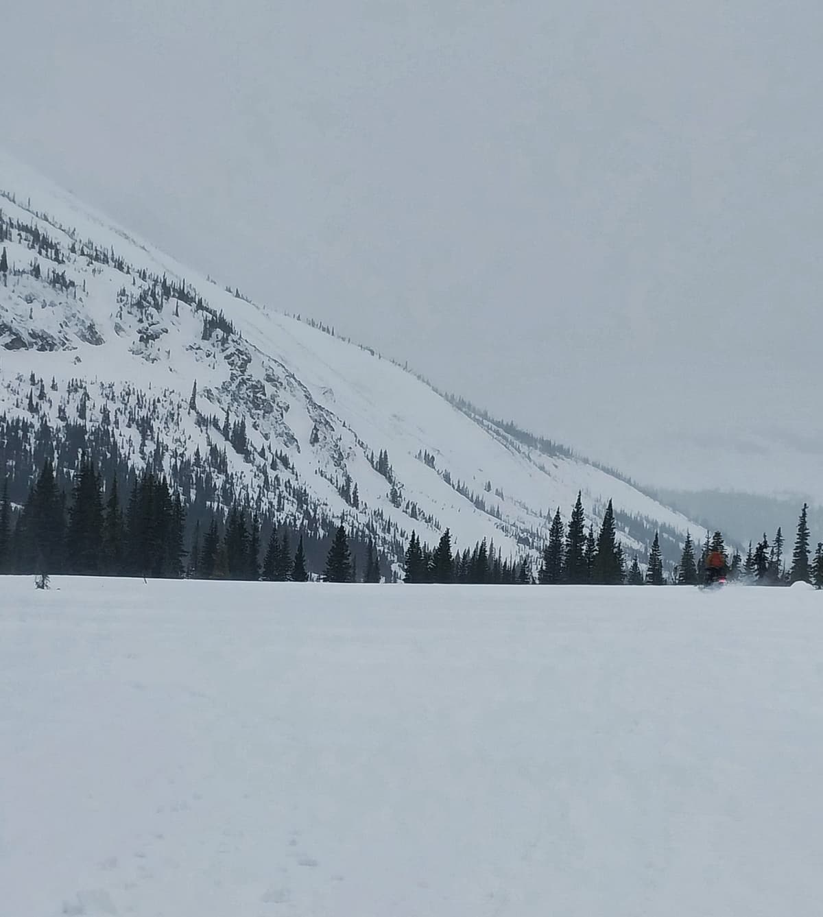 Lots of drifting snow here and up in the Alpine