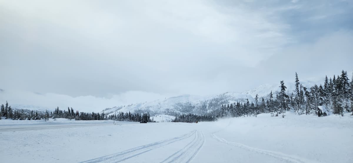 20cm of fresh snow under a hard layer. Rode bottom half of Big Kahuna, fraser chutes and some other aspects. Snow was dense but very fun, If you did not break through that crust layer it was great. Seen no new signs of anything. Heard no whomps or visabile cracks. Was -4, light wind  and great visibility. 