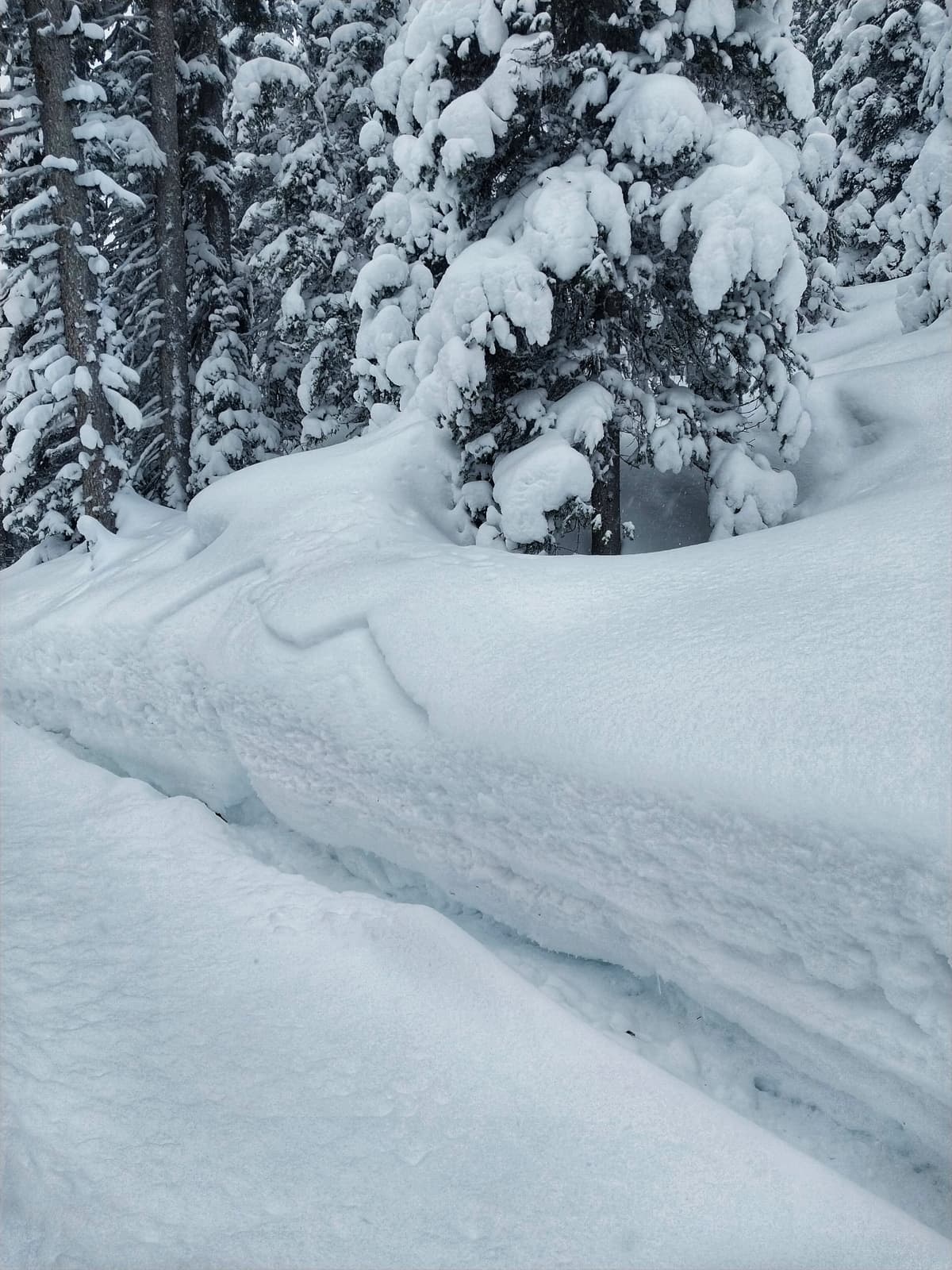 Slabs possible even below Treeline 