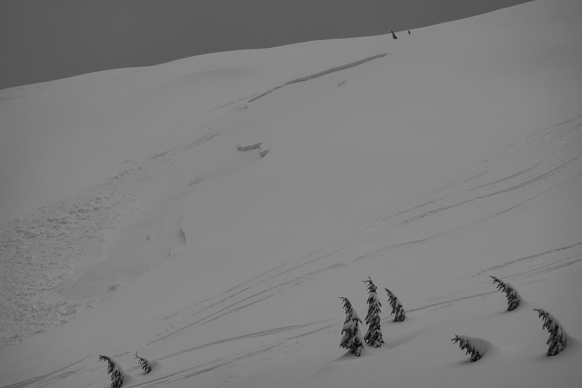 Rider track left of slide path!.
Crown- Approx 60cm