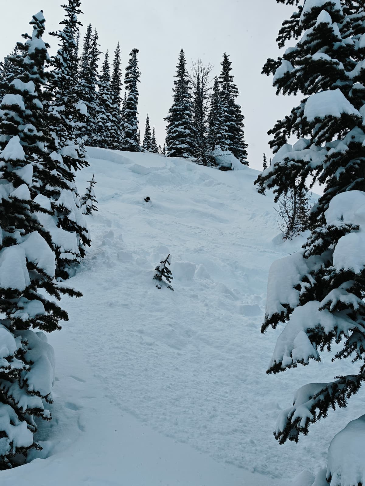 Skier was on far skier's right of this feature. ~30 degrees.