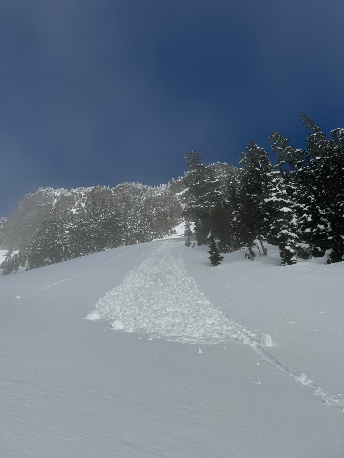 Sz 1 south aspect 1550m elevation (day old)