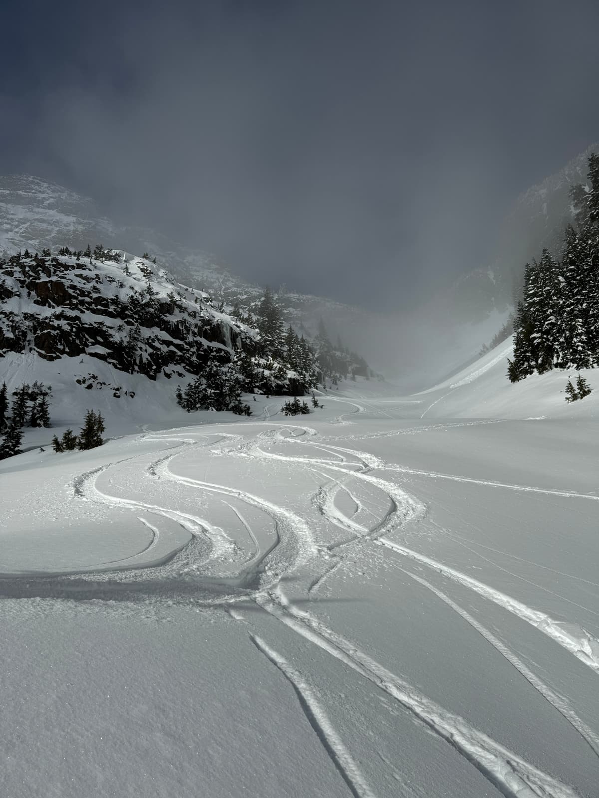 Low density crustless snow