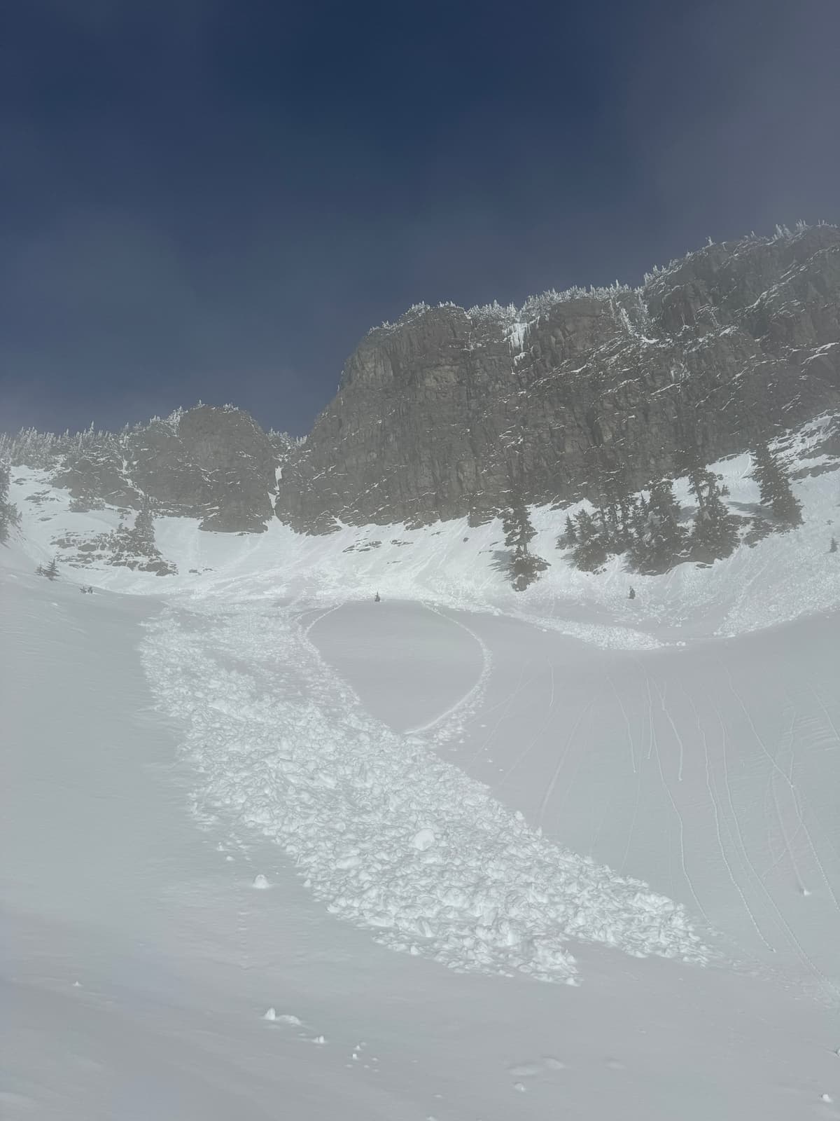 Sz 1 south aspect 1600m elevation (day old)