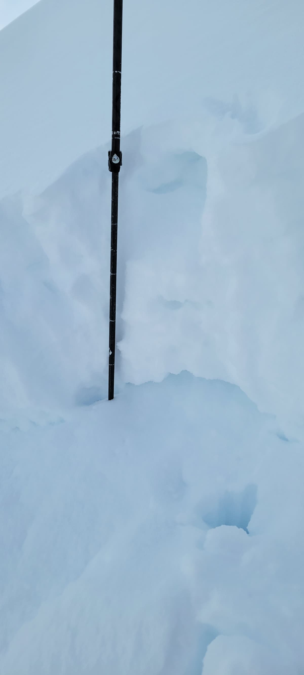 Fracture line: ~20 cm of soft snow (F-4F), over 30 cm of hard slab (P-P+) over 5 cm of weak (4F) facets.