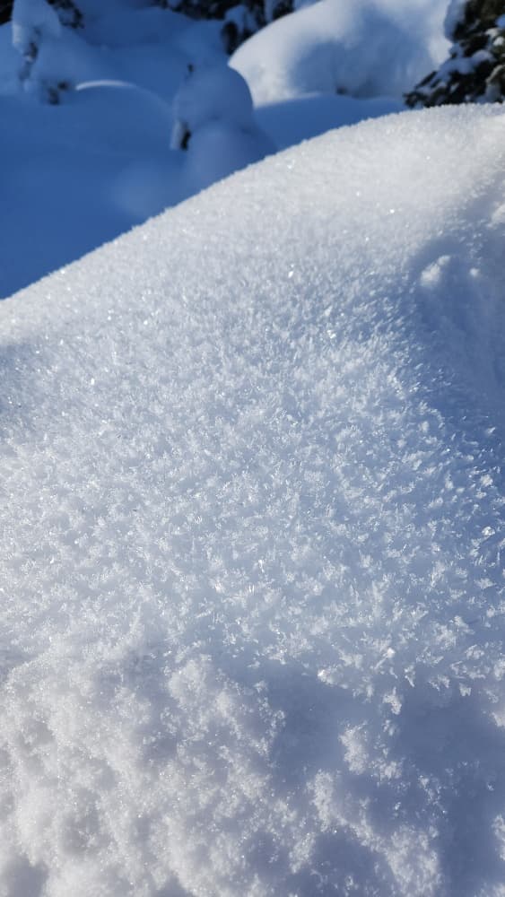 Surface hoar 5-10 mm currently growing on the snow surface around Lake Louise