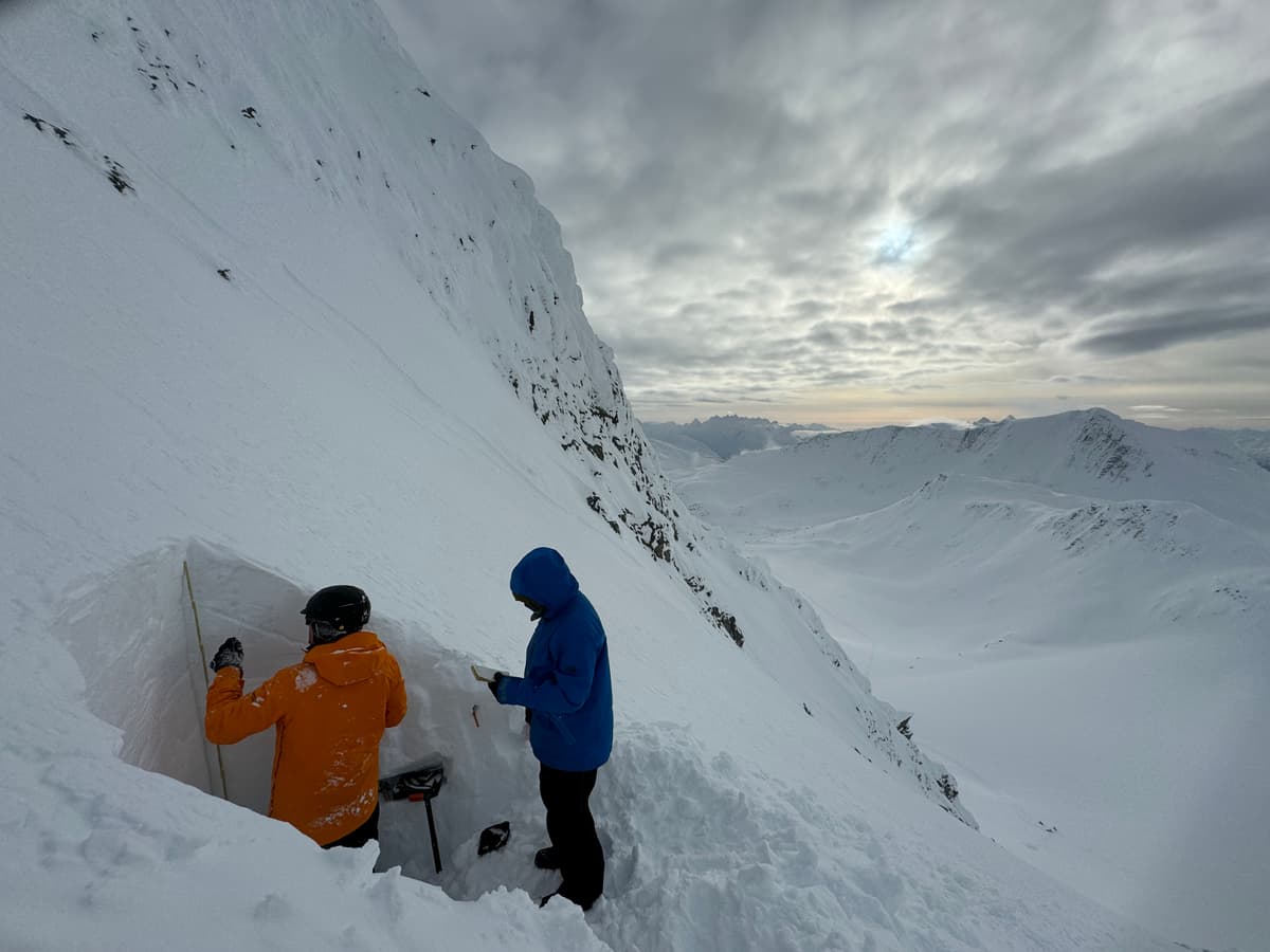 A deep tap test on the December melt-freeze crust down 130 cm didn't produce any results.