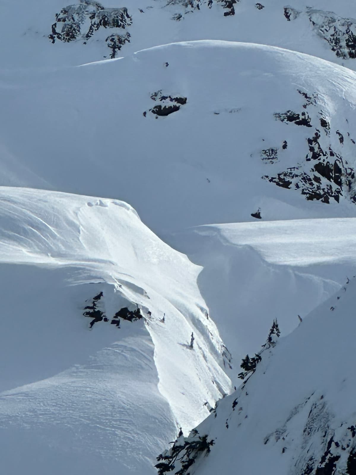 Larger (size 2?) natural crown in the alpine 