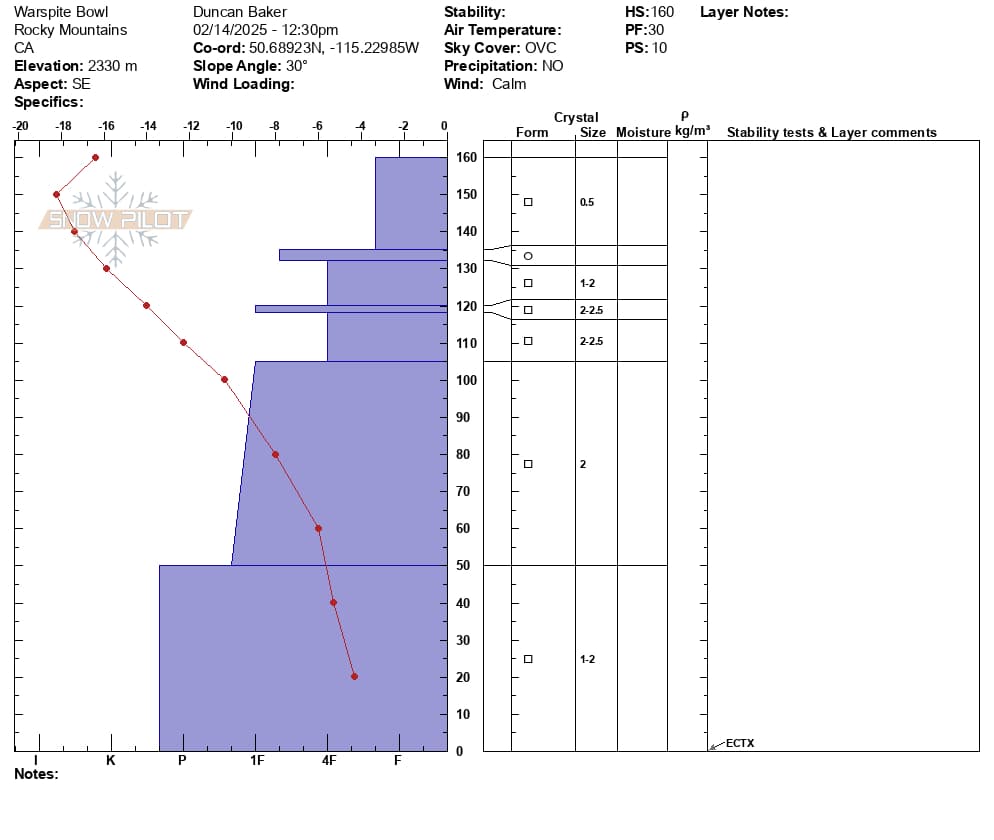 Treeline Profile near wind affected terrain 