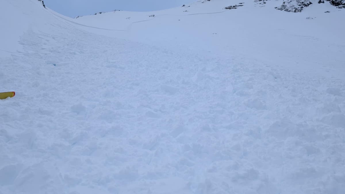 crown of size 3 avalanche, with a deeper crown pictured on lookers left hand side.