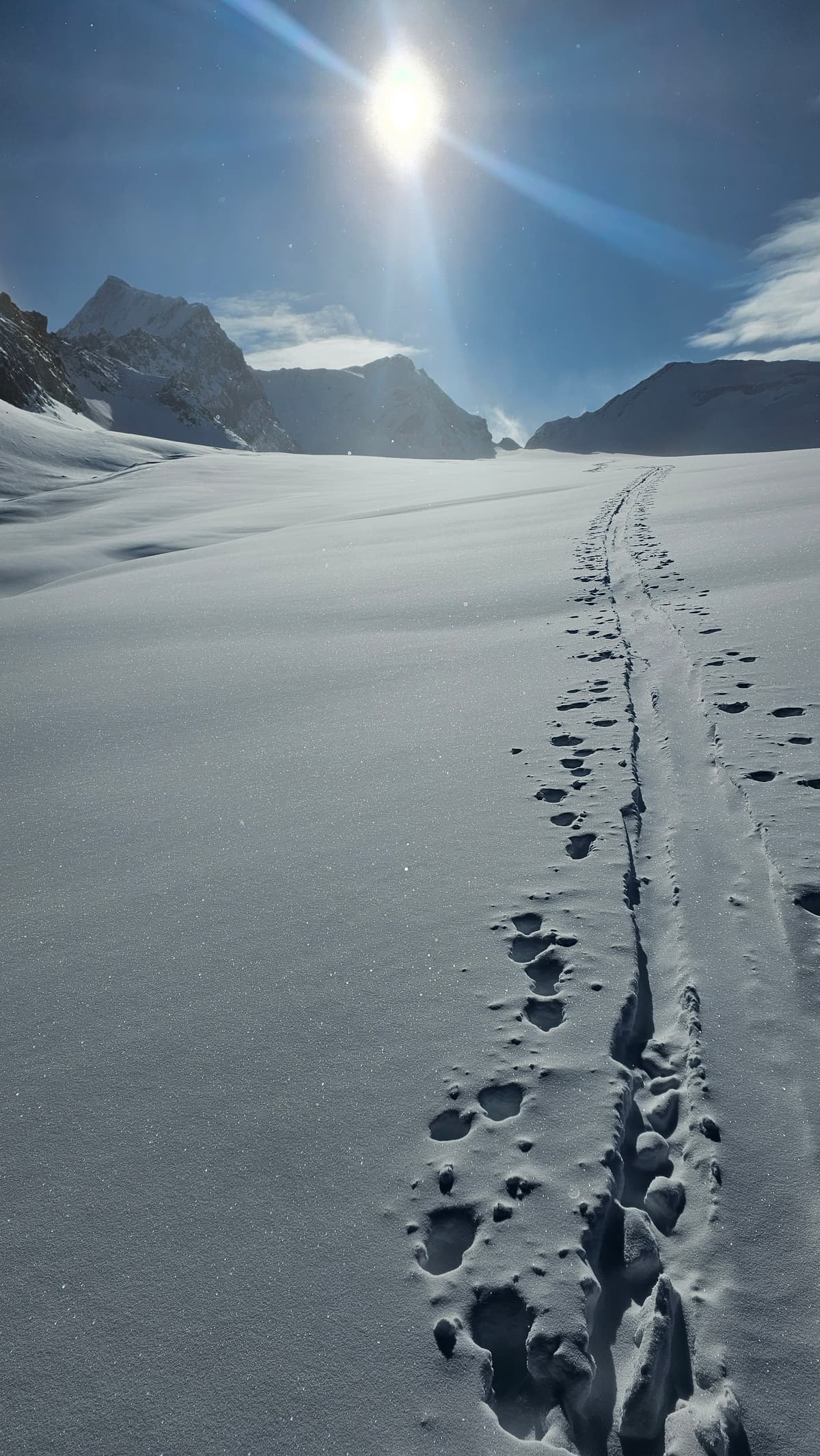 Wapta Icefield heading towards Mt Gordon 