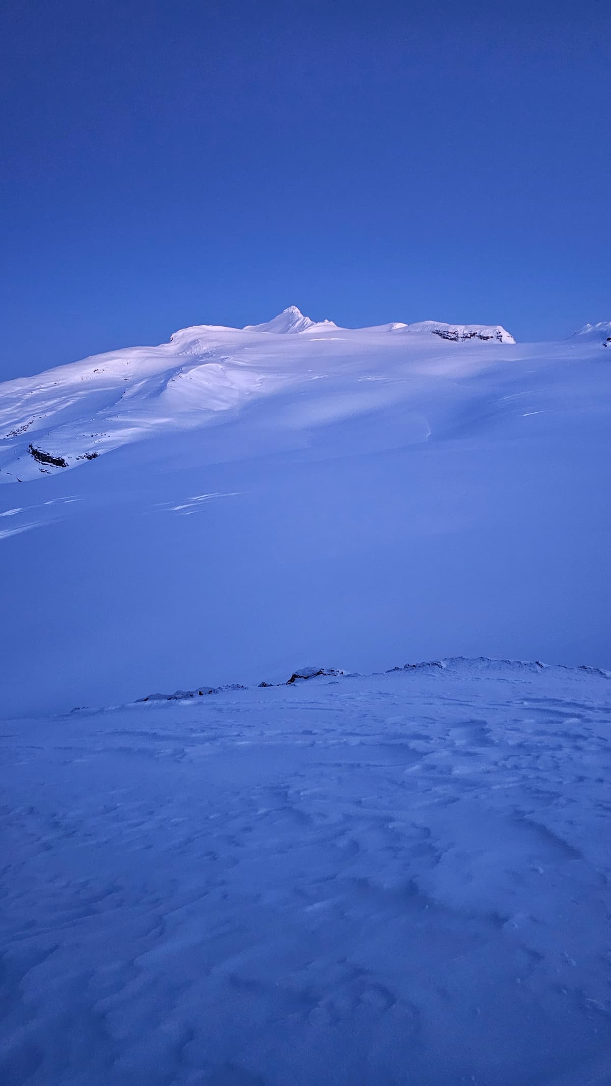 Waputik Icefield 