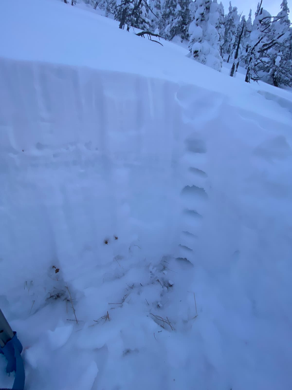 Snow depth 105cm at 2200m