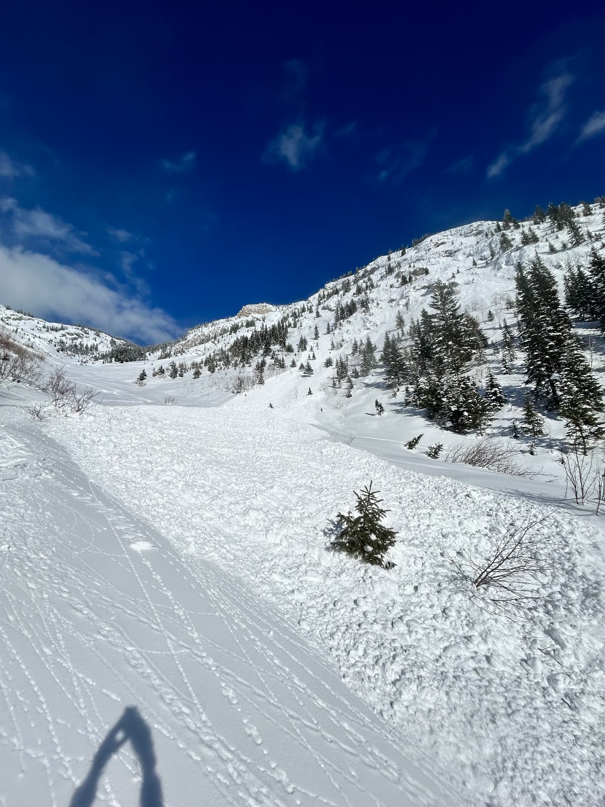 Avalanche over today's skin track
