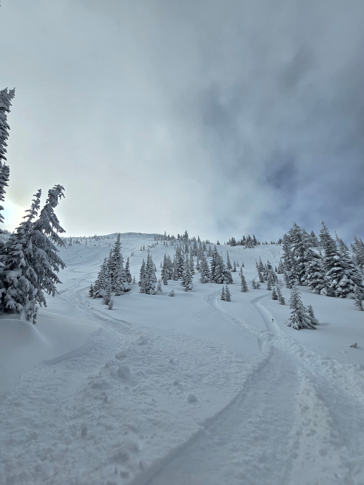 Beautiful pow turns on the backside into the ecological reserve.