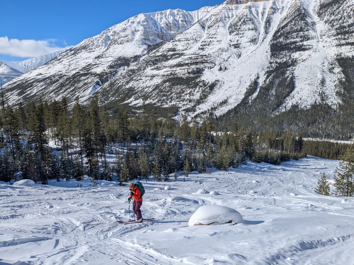 No avalanches observed today!