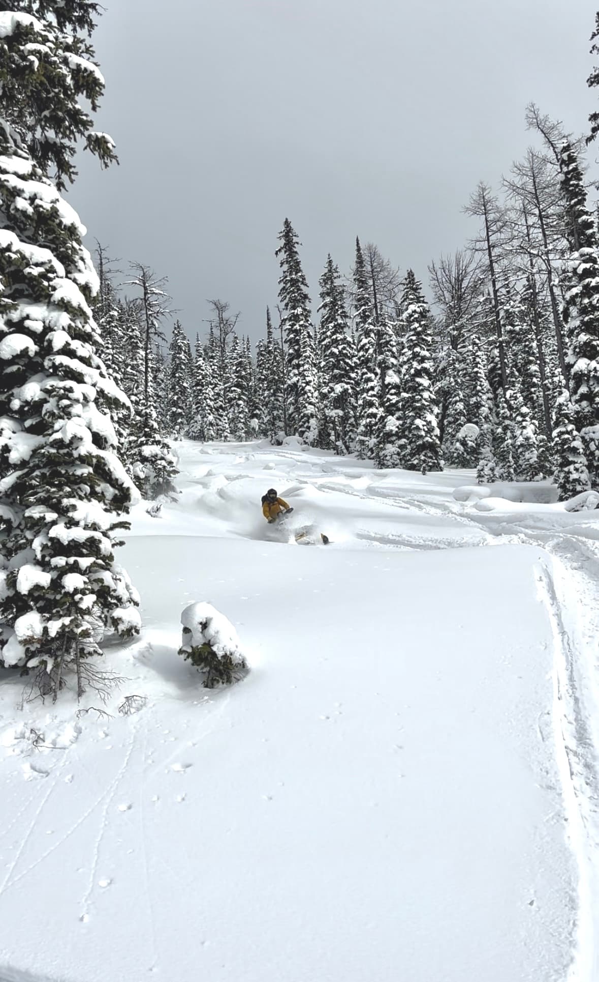 The faceted snowpack rode like deep powder but you had to watch for signs of objectes hidden in the snow. 