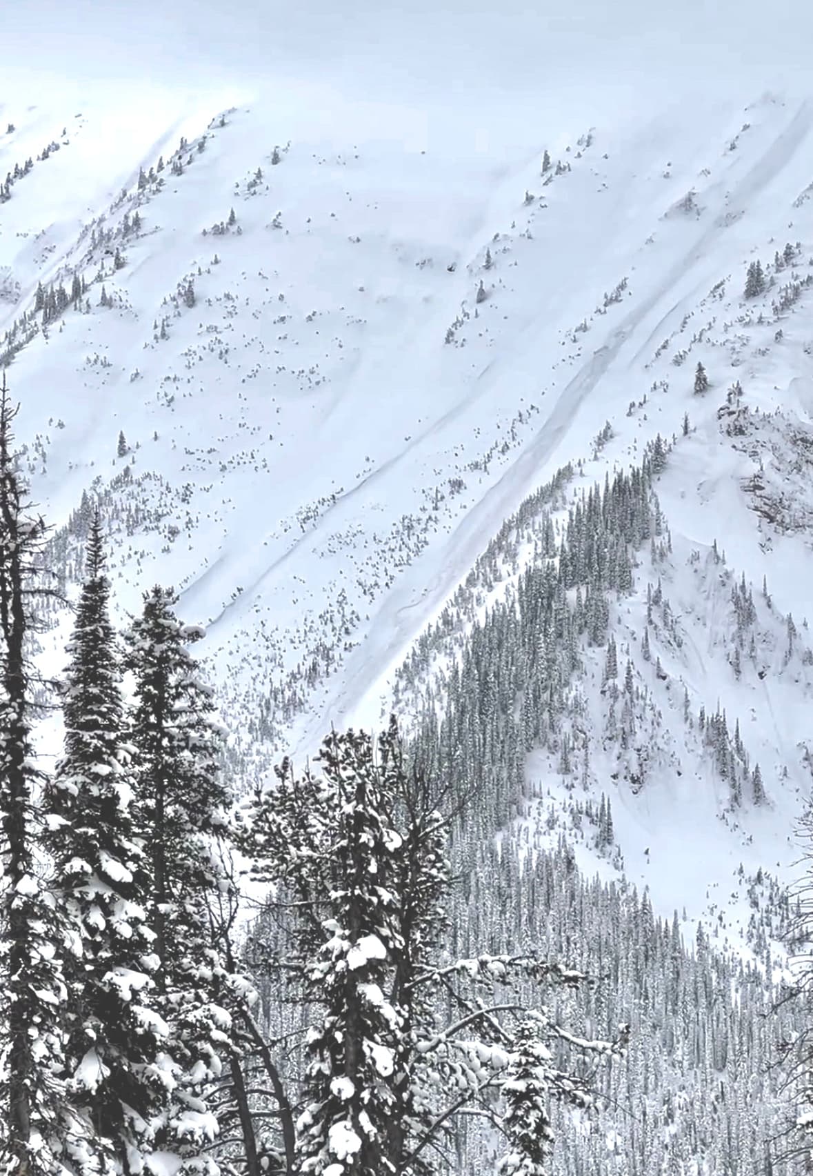 A long running avalanche on an east facing slope that we suspect failed on the January Drought interface. 