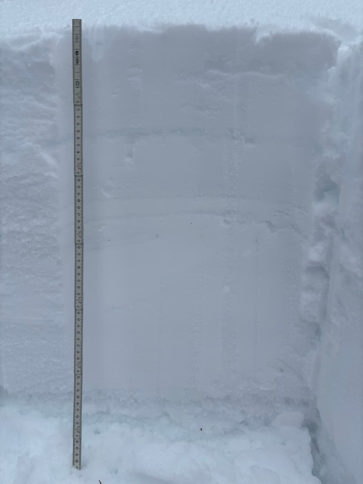 Photo of our profile, Jan 30 persistent slab down 55 cm 