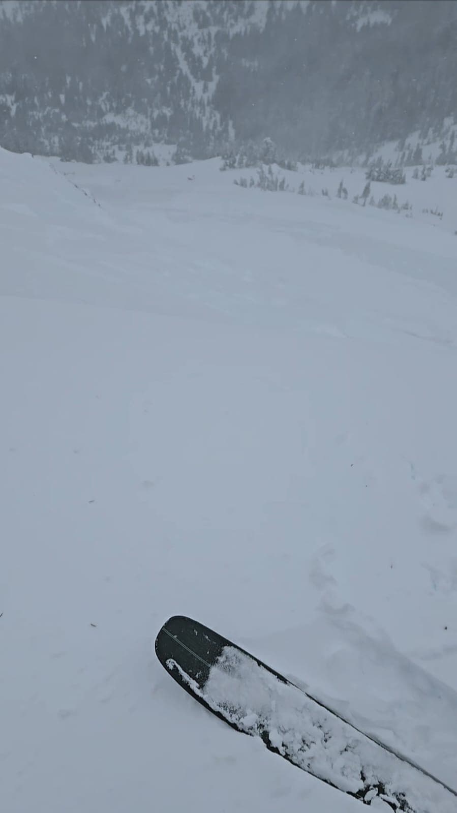 There is an avalanche there. I promise. 