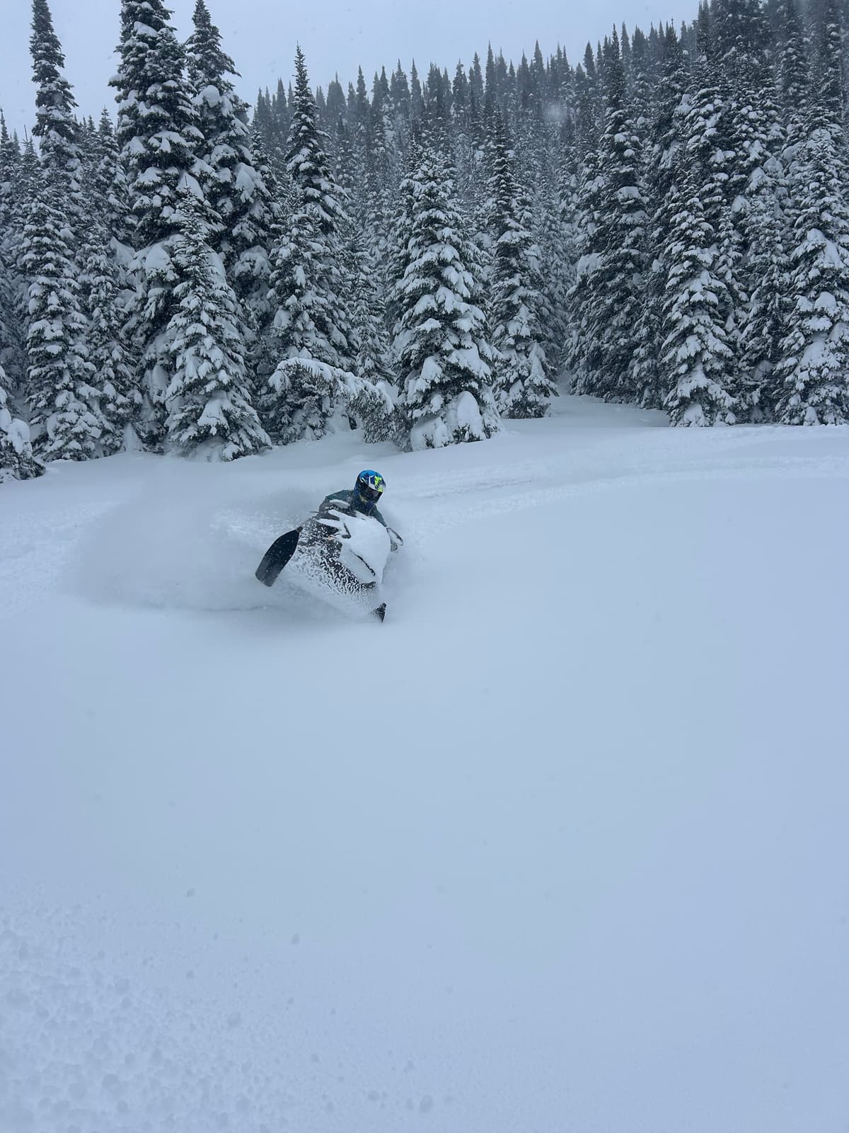 Conditions were great! 