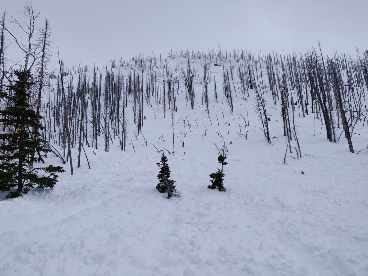 Debris pile at bottom