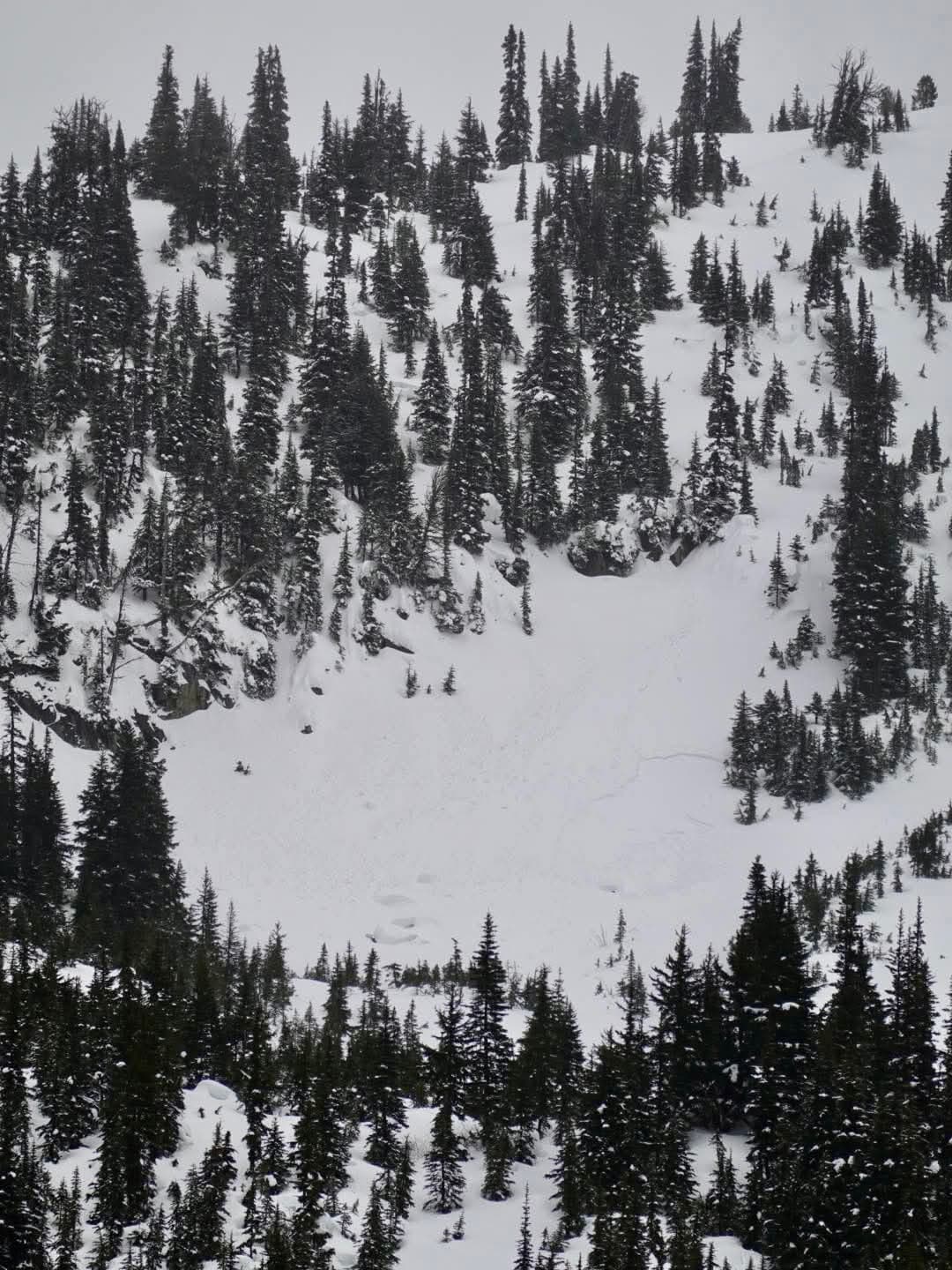 Crown can be seen below the trees. 