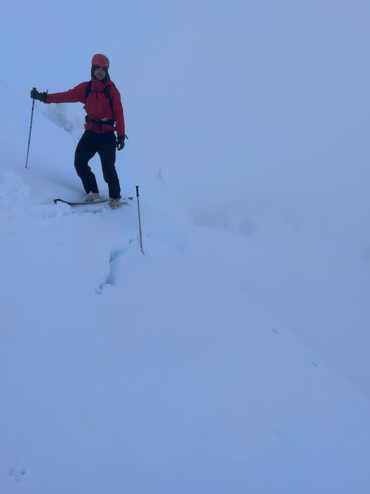 Large old crowns could be found, but were mostly filled in with new snow