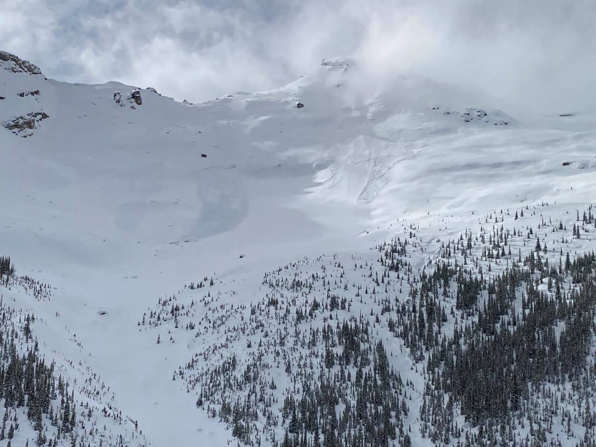 2-3 natural size 2 avalanches on the Mt Field ski tour headwall. Failed sometime during the storm.