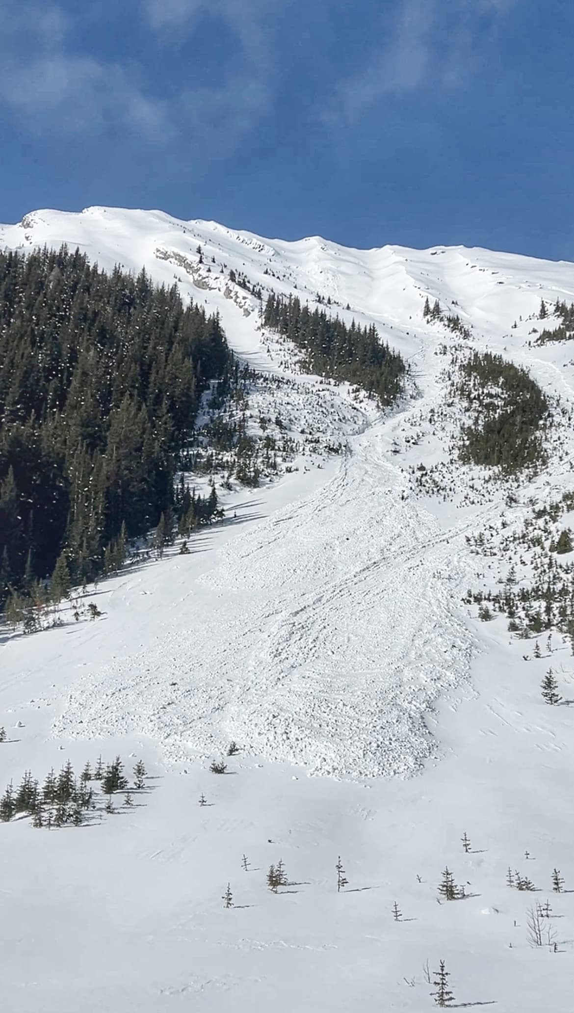 We observed numerous persistent slab avalanches