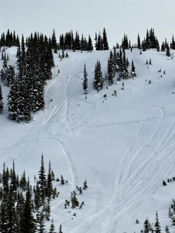 Sled triggered avalanche from last weekend