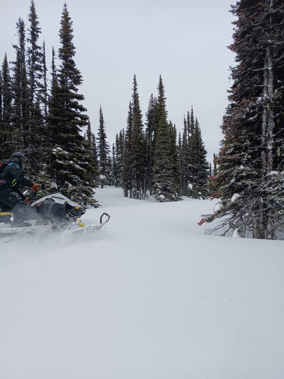 Lots of powder and no avalanche hazard here