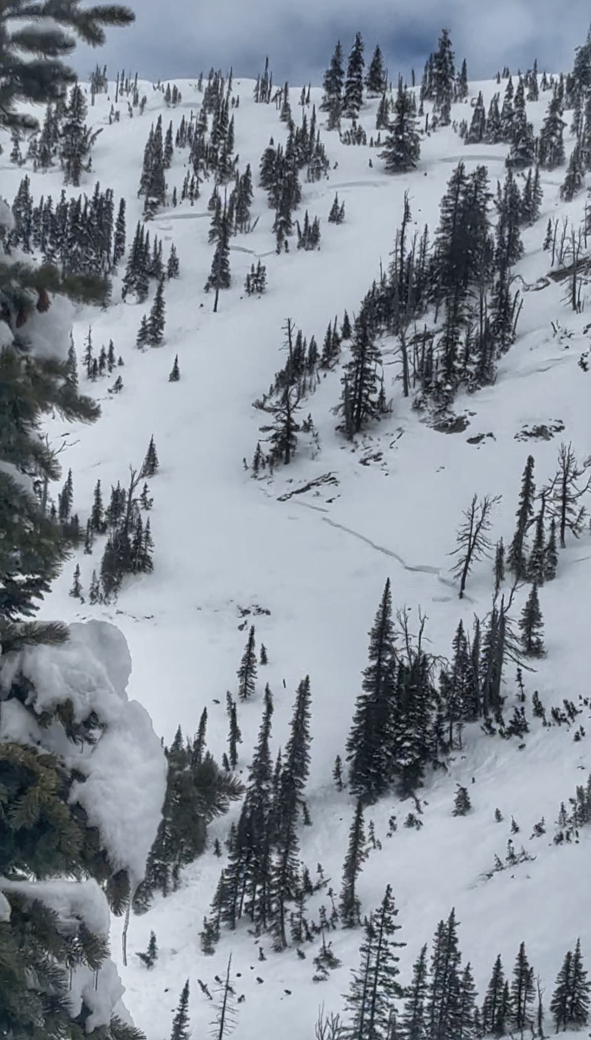 We observed several size 2 to 2.5 natural avalanches. This was on a SE facing slope and released to the persistent weak layer.