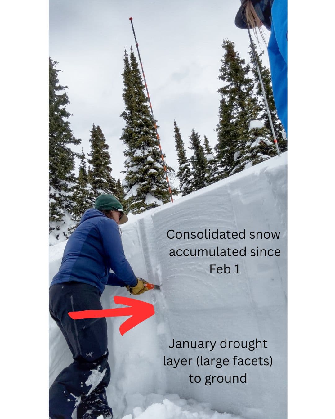Consolidated snow accumulated since Feb 1 overlies a very faceted lower snowpack to ground