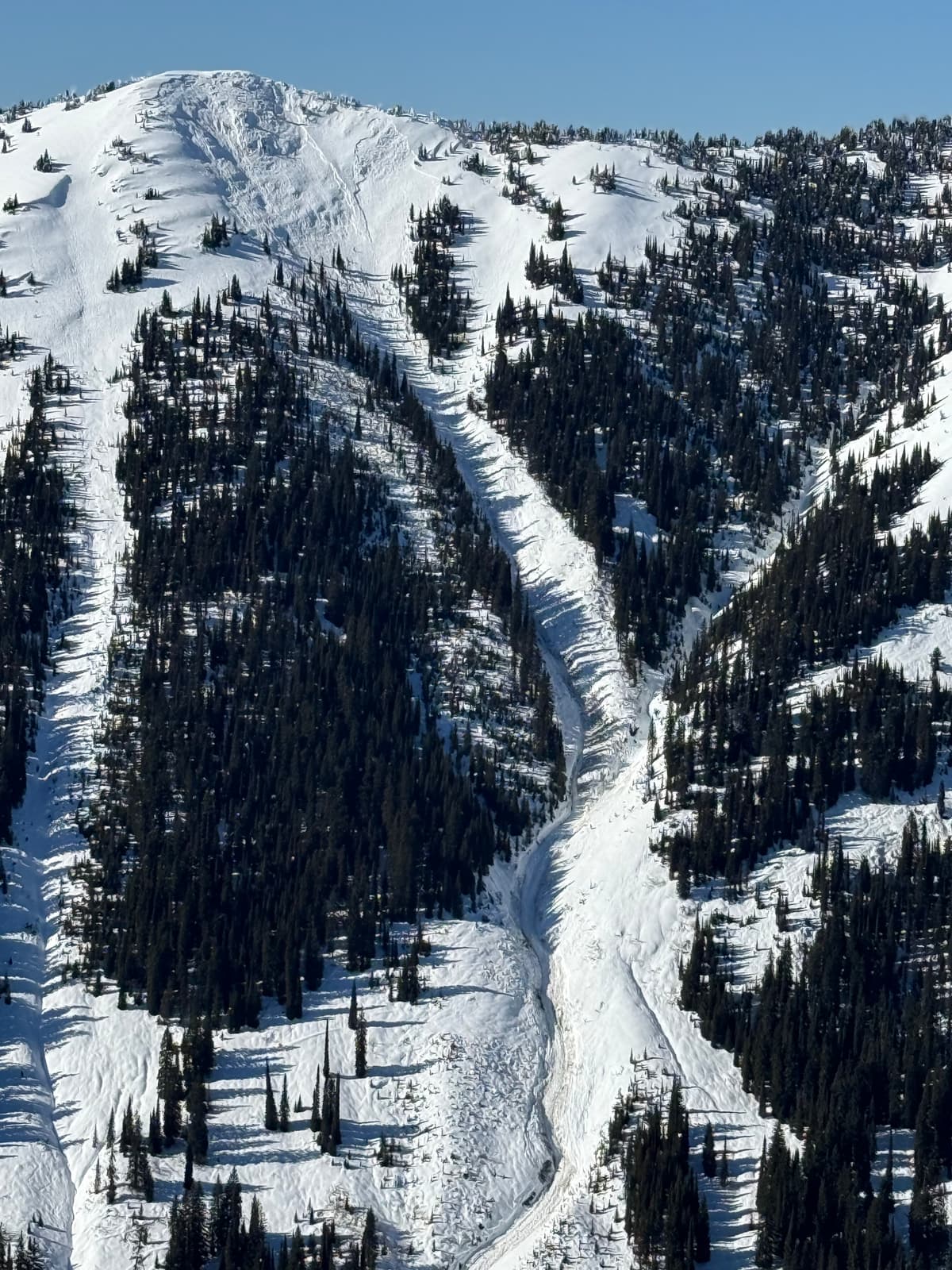 Avalanche off whales back observed while happening from glory lift