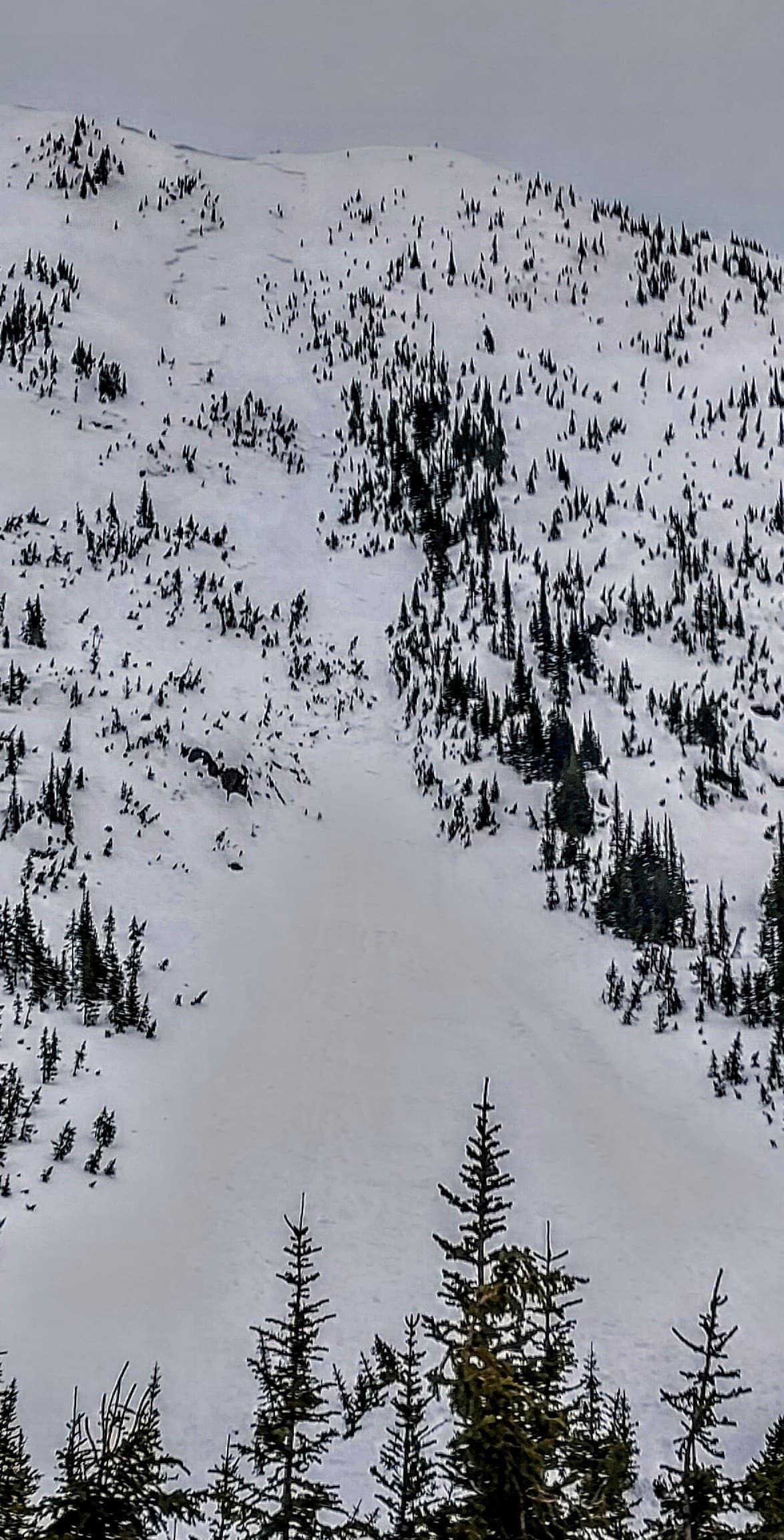 View of remote triggered avy from below. 