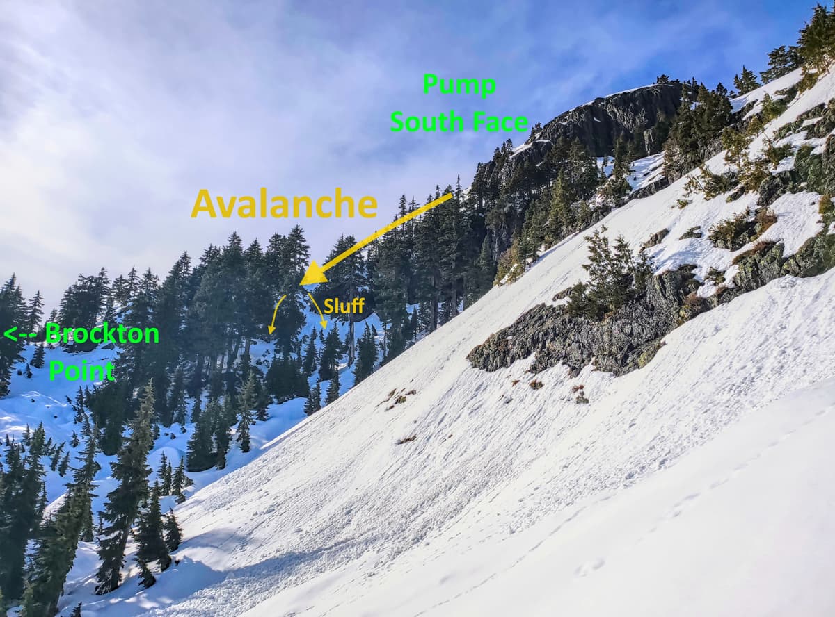 This is were we observed the avalanche happen, from the Mount Seymour Trail.