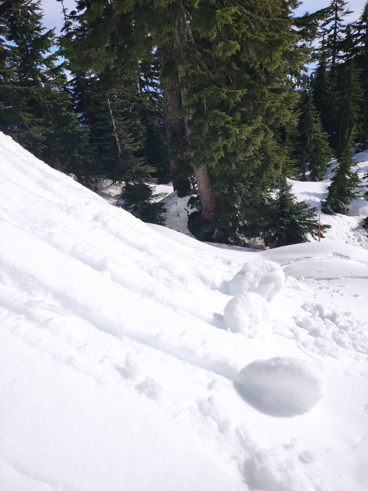 Pinwheels easily forming on test slope (35-40degrees), South aspect at elevation 1250m