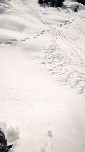 Sluffs/Pinwheels easily generated, elevation 1250m South aspect.