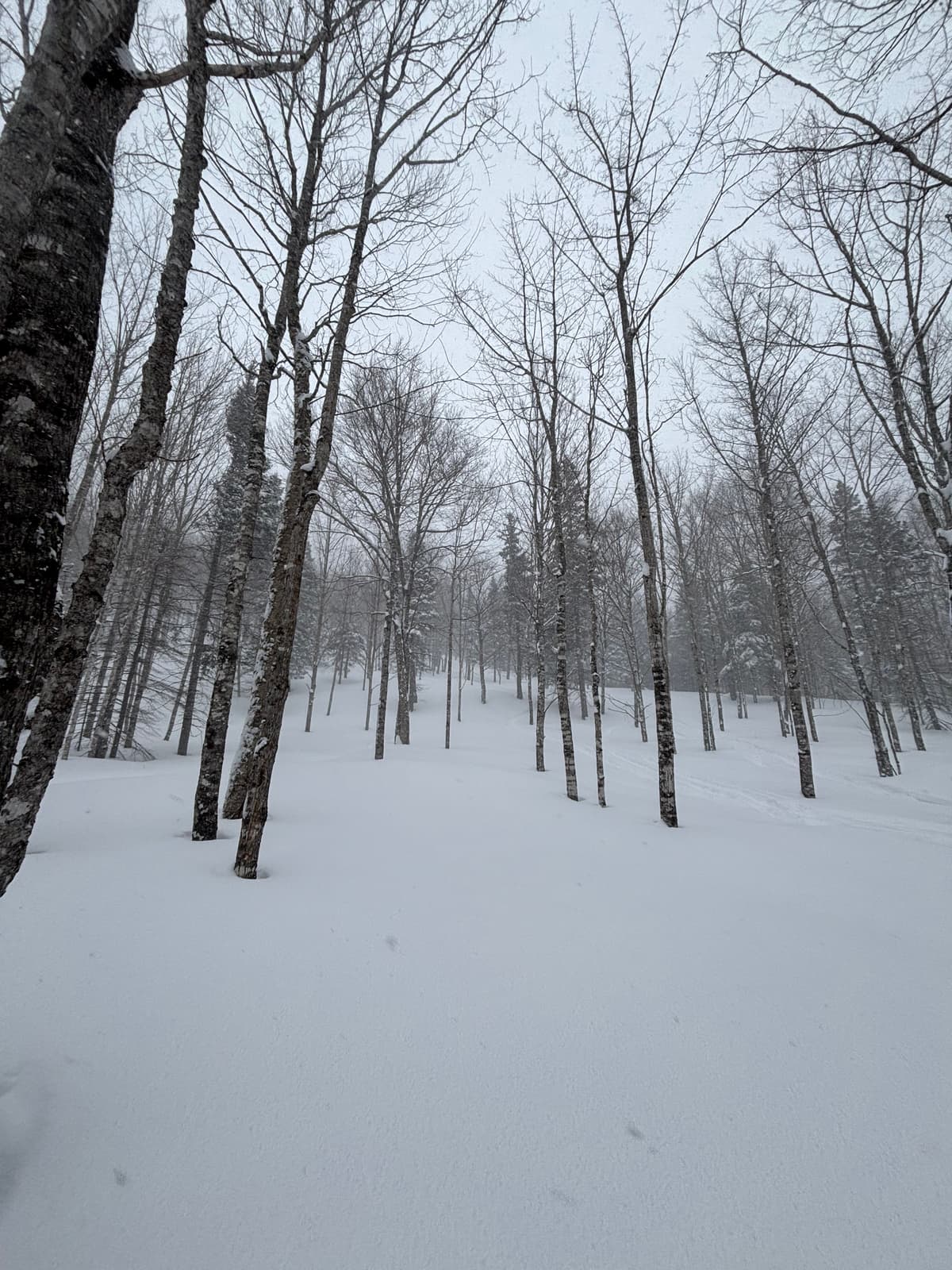 Piste 5 du bas 