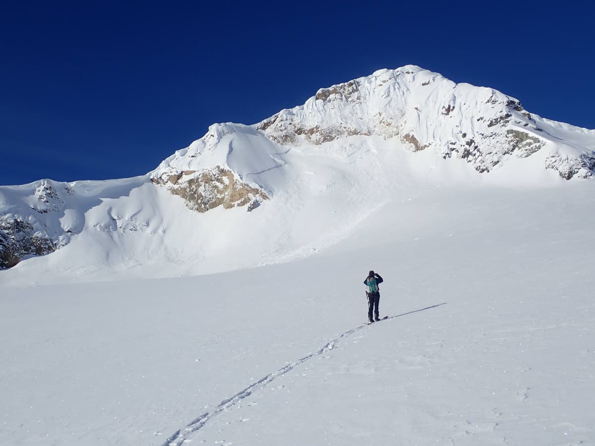 NE Aspect possible triggered by cornice fall