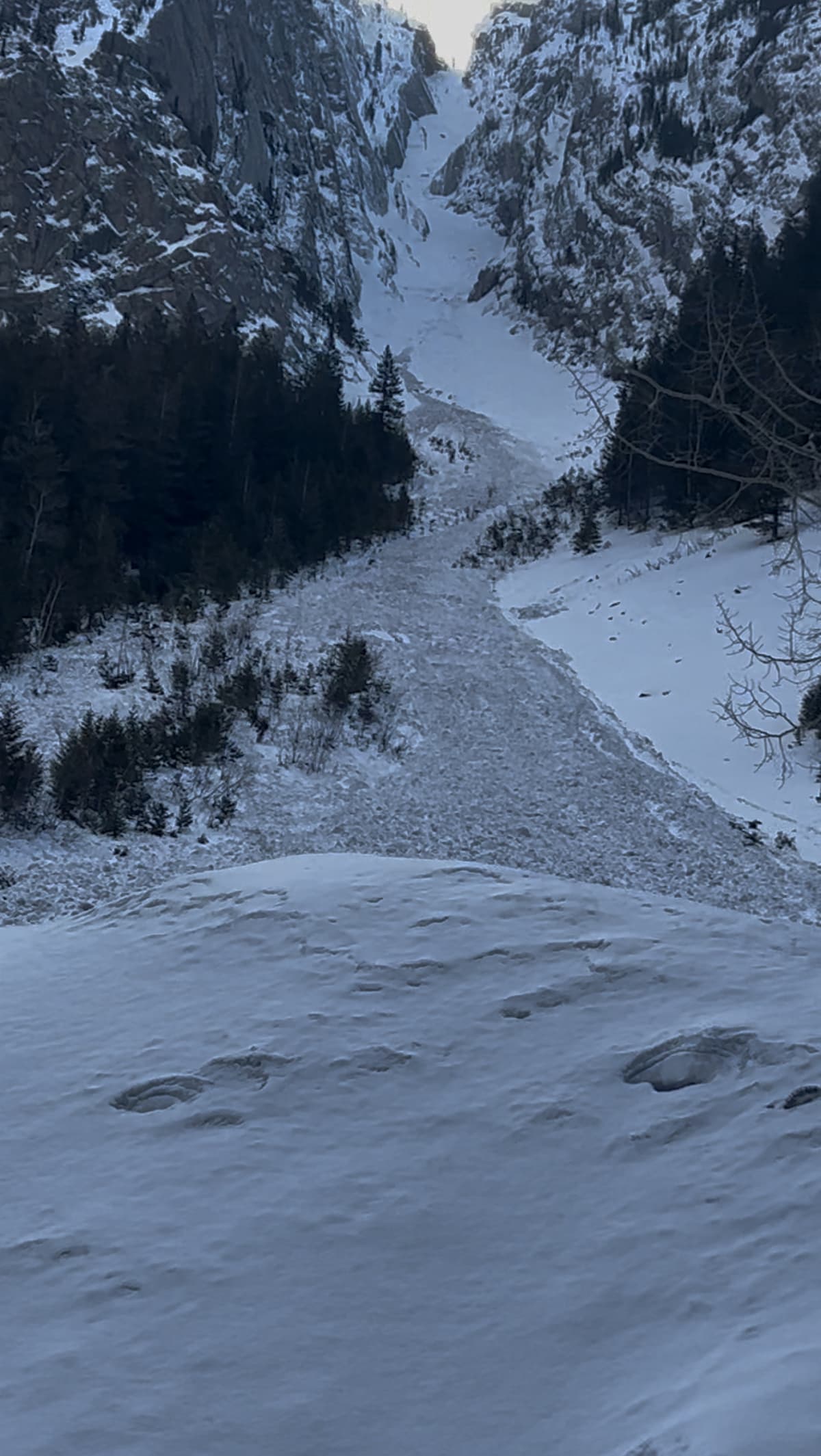North facing path off Erickson Ridge