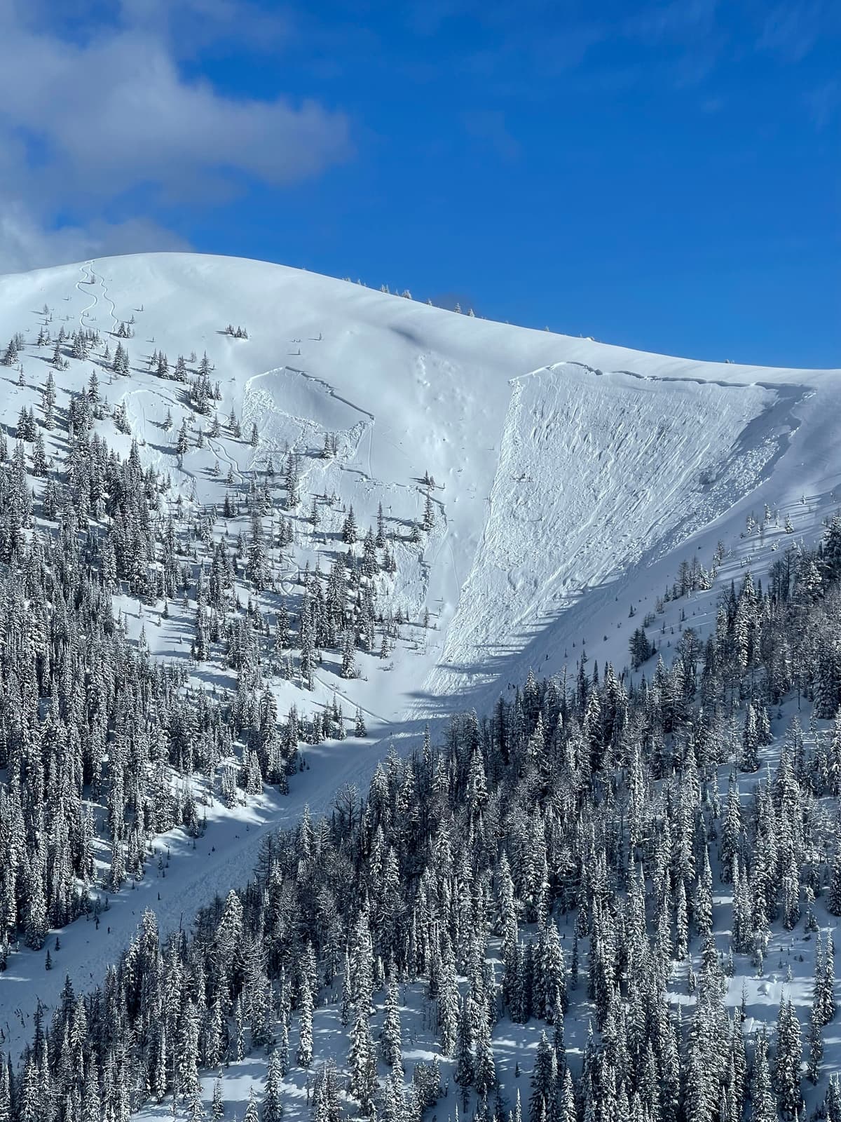 All three avalanches visible 