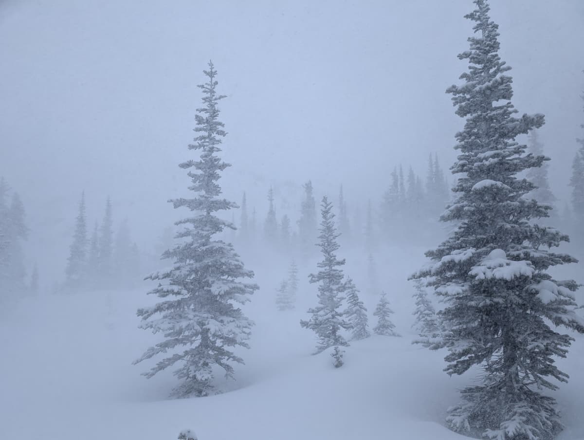 Wind at 1900m