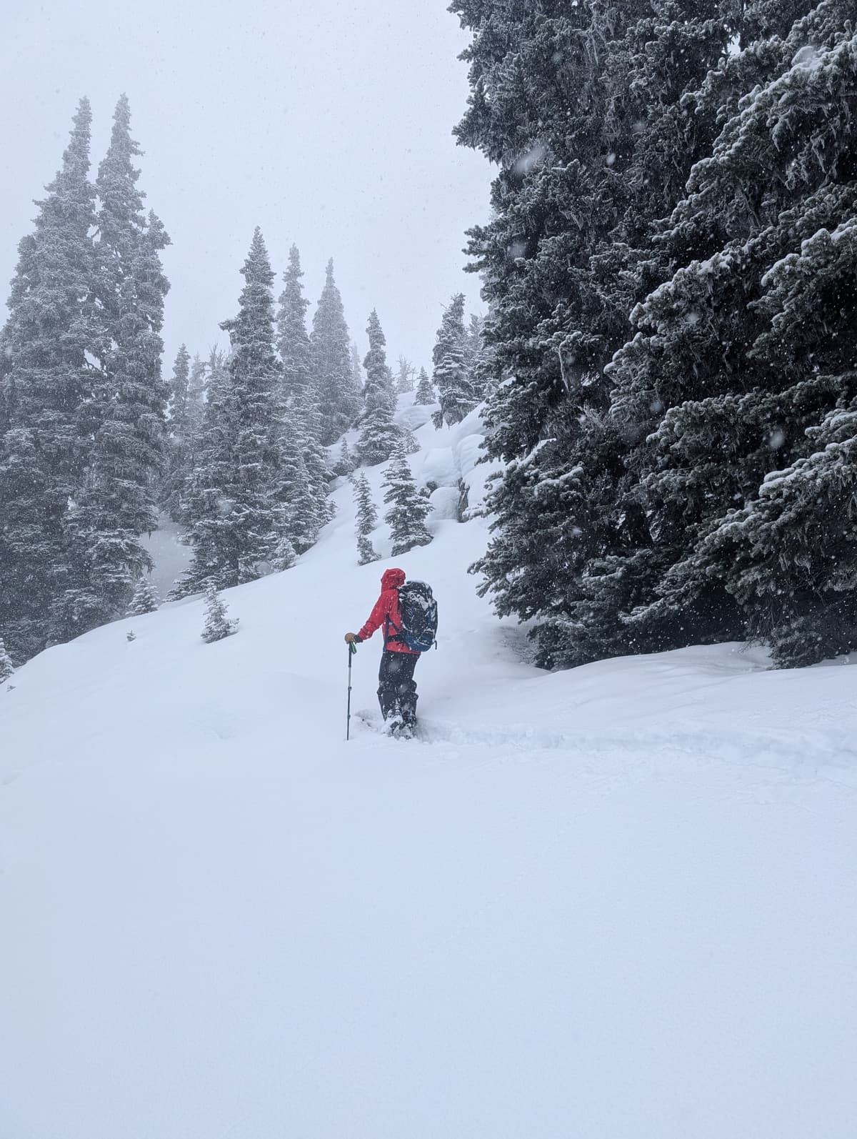 Impression of the day, 15 cm ski penetration 