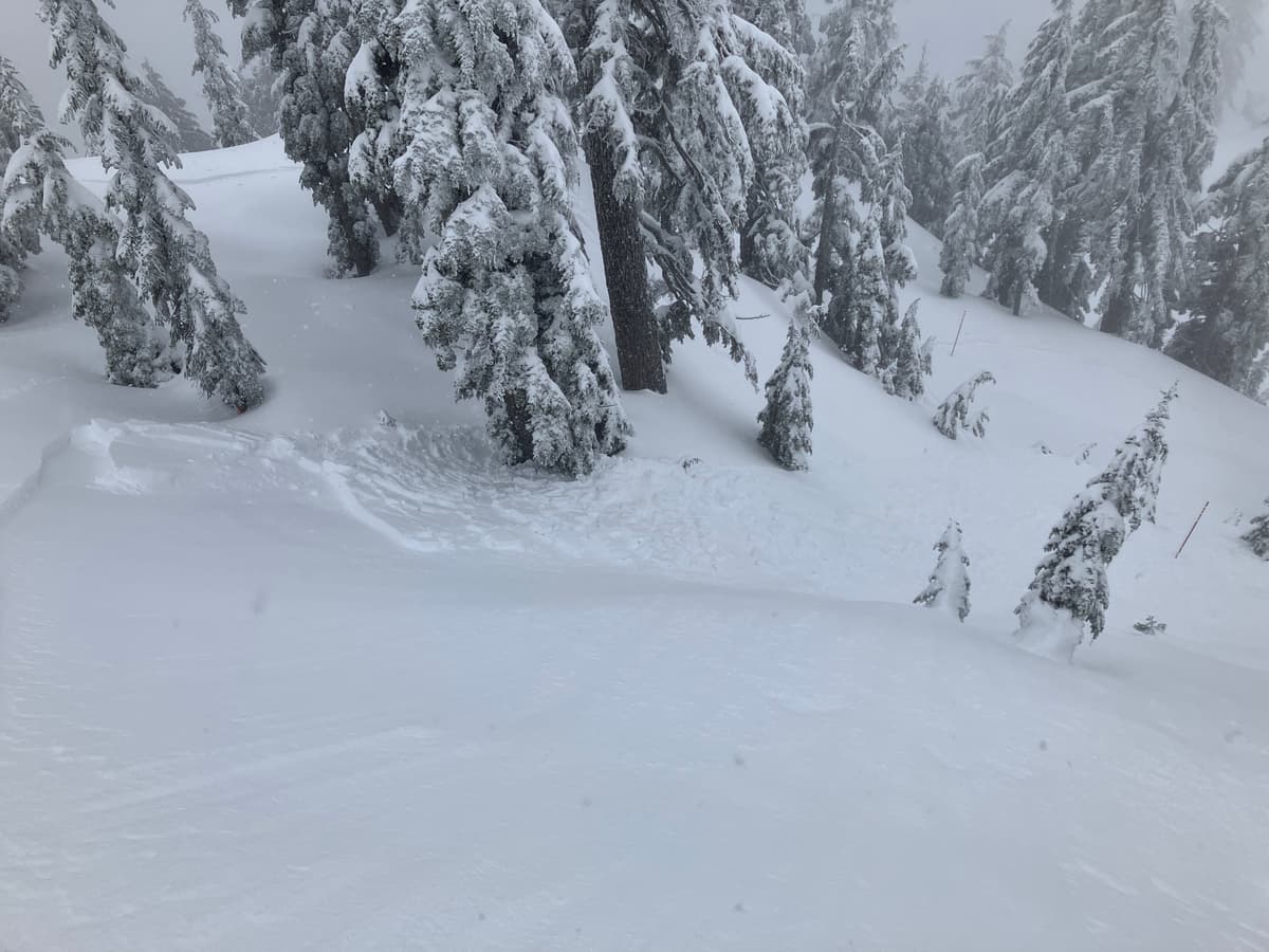 skiier triggered and crossed the marked pole route to first pump