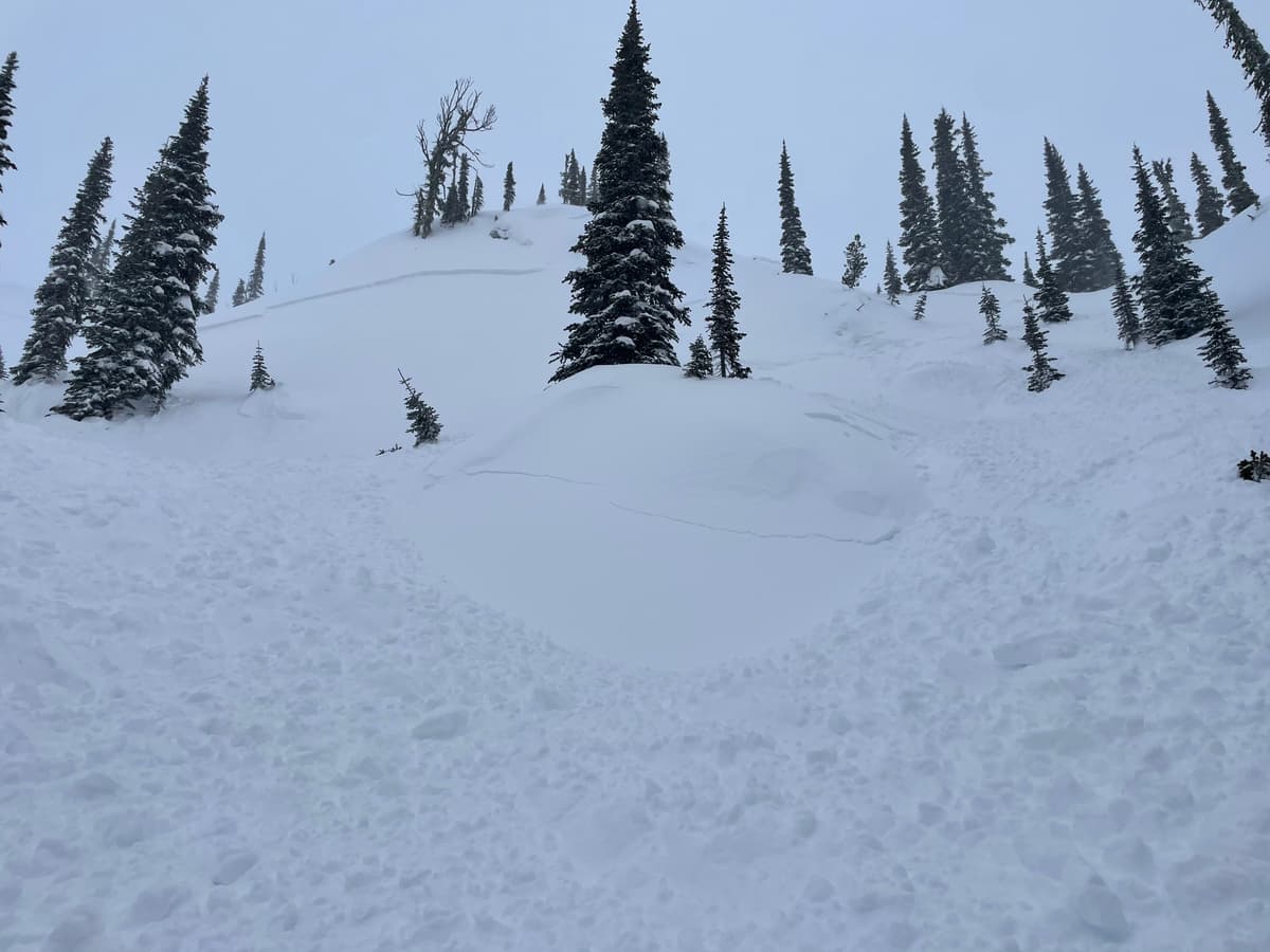Skier-remote (from 20m), size 1.5