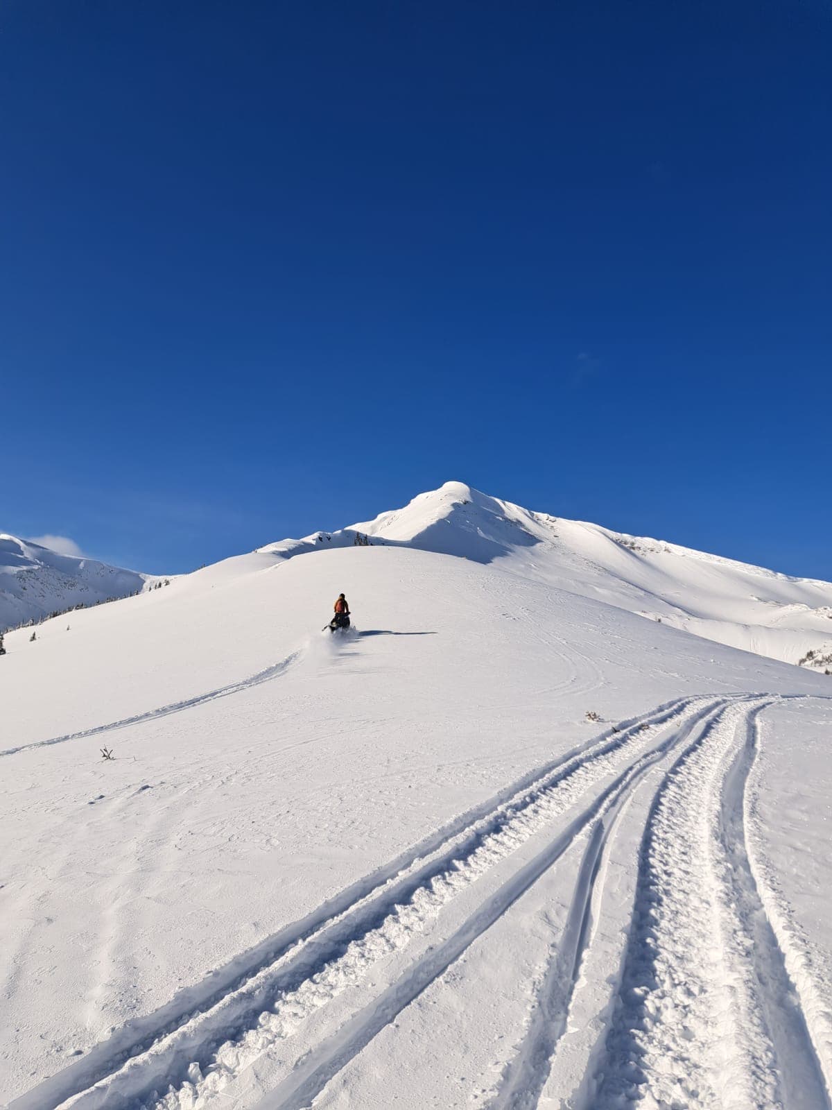 We rode broad ridgelines and mellow slopes in the alpine. Higher elevation had soft windslabs on all aspects.  