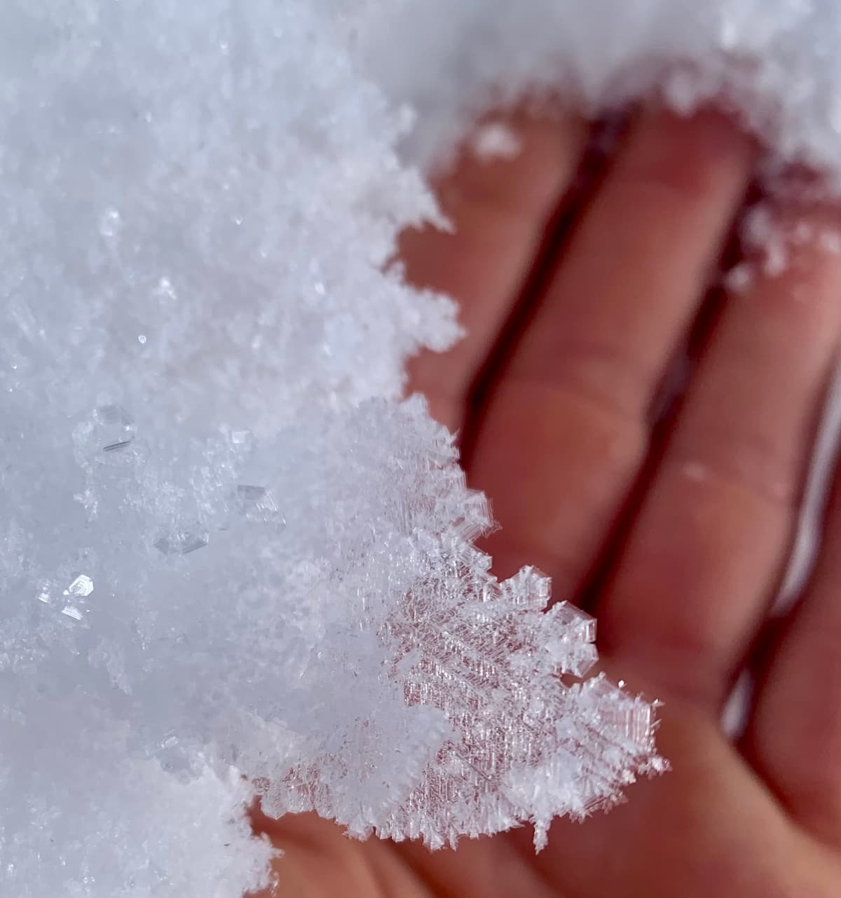 Last night was cold, and formed giant surface hoar crystals on the all surfaces in Nadahinni.