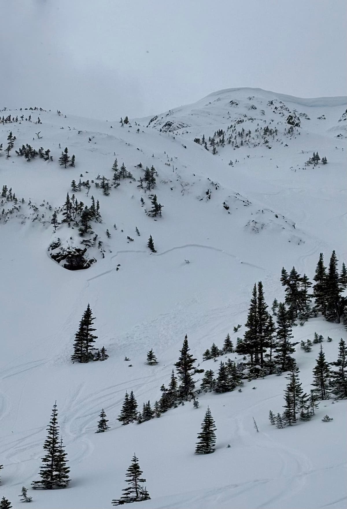 March 5 SH has enough snow to be reactive now. 